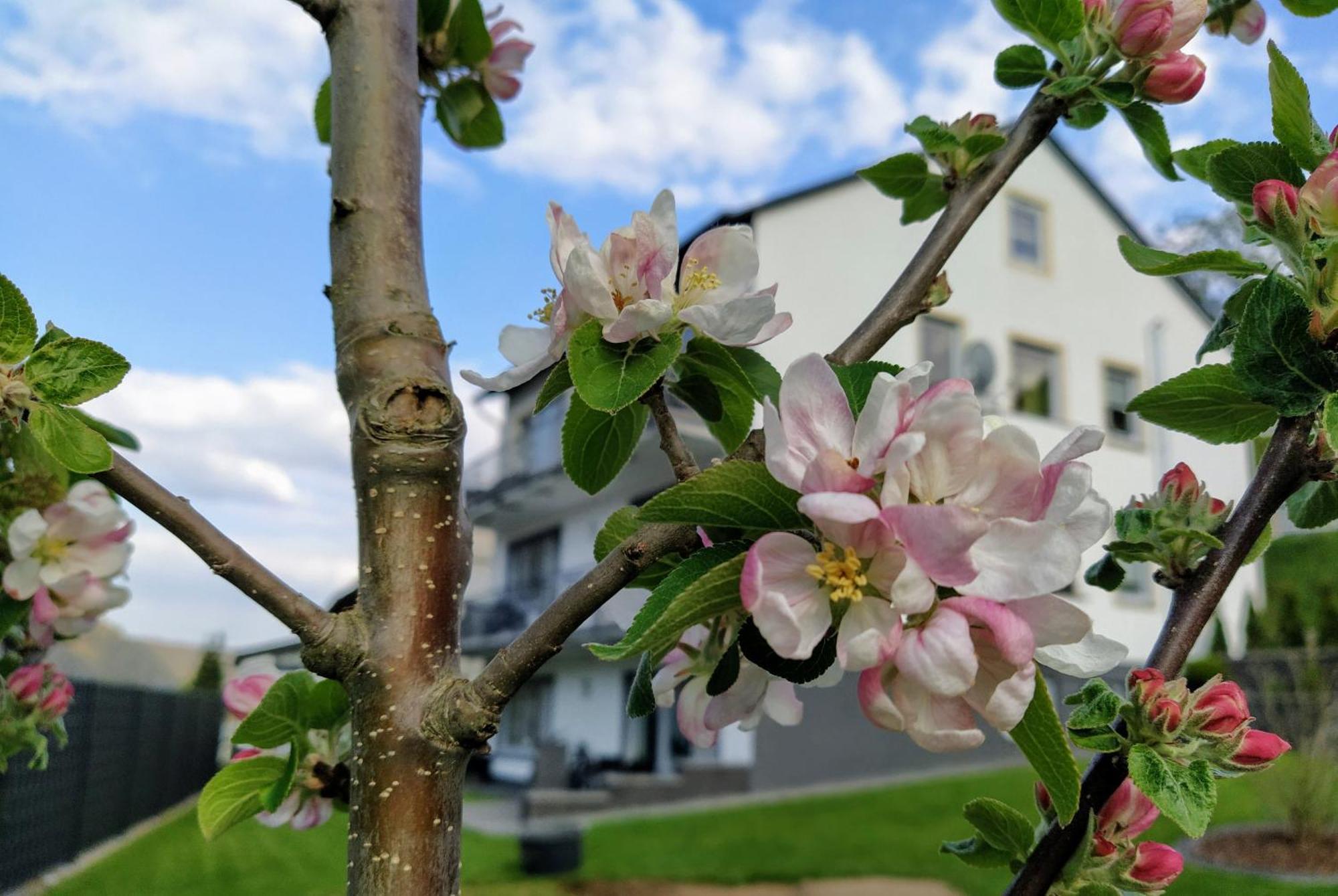 Kleine Auszeit Apartamento Cochem Exterior foto
