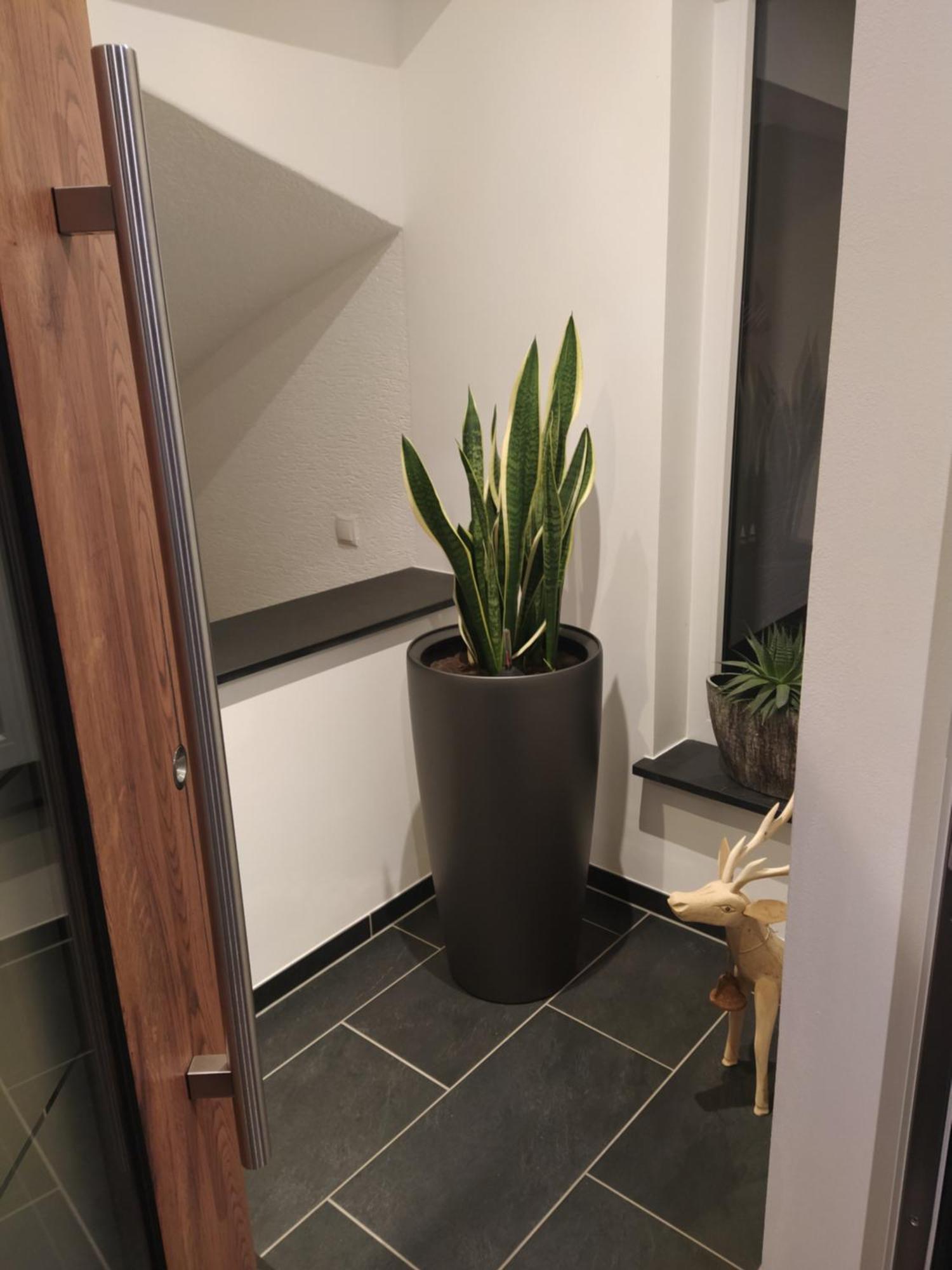 Kleine Auszeit Apartamento Cochem Exterior foto